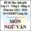 Đề thi học sinh giỏi tỉnh Long An lớp 12 vòng 1 năm 2012 - 2013 môn Ngữ Văn (Bảng A)