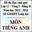 Đề thi học sinh giỏi tỉnh Long An lớp 12 vòng 1 năm 2012 - 2013 môn Tiếng Anh (Bảng B)