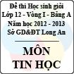 Đề thi học sinh giỏi tỉnh Long An lớp 12 vòng 1 năm 2012 - 2013 môn Tin học (Bảng A)