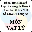 Đề thi học sinh giỏi tỉnh Long An lớp 12 vòng 1 năm 2012 - 2013 môn Vật lý (Bảng A)