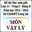 Đề thi học sinh giỏi tỉnh Long An lớp 12 vòng 1 năm 2012 - 2013 môn Vật lý (Bảng B)