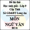 Đề thi thử học sinh giỏi tỉnh Long An lớp 9 môn Văn - Đề 1