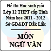 Đề thi học sinh giỏi lớp 12 THPT tỉnh Đăk Lăk năm học 2011 - 2012 môn Ngữ văn (Có đáp án)