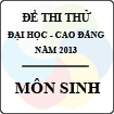Đề thi thử Đại học cao đẳng năm 2013 môn Sinh học