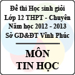 Đề thi học sinh giỏi lớp 12 THPT chuyên tỉnh Vĩnh Phúc năm 2013 môn Tin học