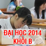 Đề thi - Đáp án thi Đại học năm 2014 - Khối B
