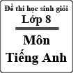 Đề thi học sinh giỏi môn Tiếng Anh lớp 8 huyện Vĩnh Yên