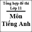 Tổng hợp đề thi học kỳ I môn Tiếng Anh lớp 11