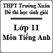 Đề thi học sinh giỏi môn Tiếng Anh lớp 11 trường THPT Trường Xuân