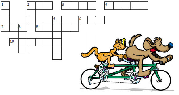 Ô chữ Tiếng Anh theo chủ đề có đáp án