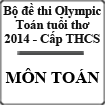 Bộ đề thi Olympic Toán tuổi thơ năm 2014 - Cấp THCS