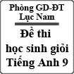 Đề thi học sinh giỏi Tiếng Anh lớp 9 huyện Lục Nam