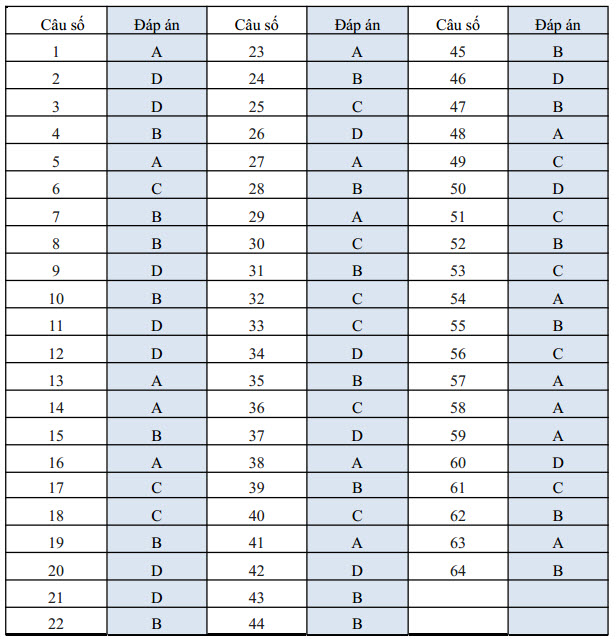 Đề thi thử THPT Quốc gia năm 2015 môn Tiếng Anh của Bộ Giáo dục và Đào tạo