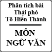 Phân tích bài Thái phó Tô Hiến Thành