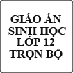 Giáo án Sinh học lớp 12 trọn bộ
