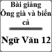 Bài giảng Ông Già Và Biển Cả