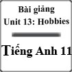 Bài giảng Tiếng Anh 11 unit 13