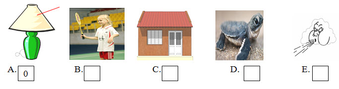 Đề kiểm tra học kì 2 môn Tiếng Anh lớp 3 trường Tiểu học Lê Văn Tám năm 2014