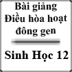 Bài giảng Điều hòa hoạt động gen