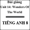 Bài giảng Tiếng Anh 8 unit 14