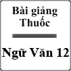 Bài giảng Thuốc Ngữ văn 12