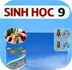 Giáo án Sinh học lớp 9