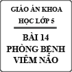 Giáo án môn Khoa học lớp 5 bài Phòng bệnh viêm não