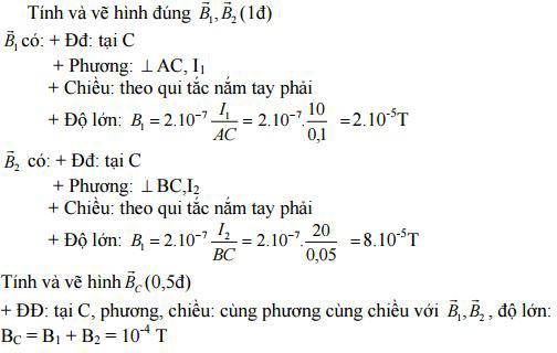 Đề kiểm tra học kì 2 môn Vật lý lớp 11 trường PT DTNT tỉnh Bình Thuận