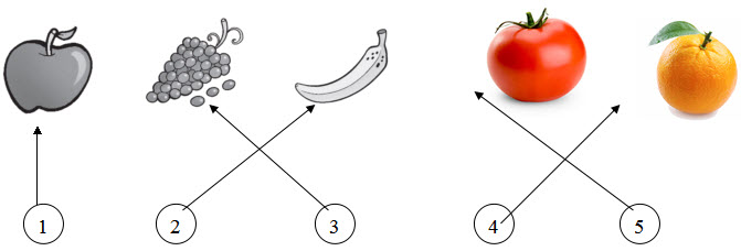 Đề kiểm tra học kì 2 môn Tiếng Anh lớp 3 năm 2015