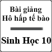 Bài giảng Hô hấp tế bào Sinh học 10