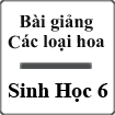 Bài giảng Các loại hoa Sinh học 6