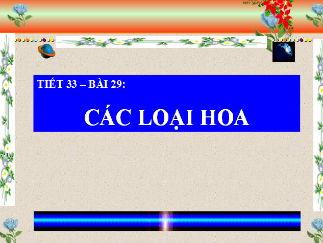 Bài giảng Các loại hoa Các loại hoa Sinh học 6