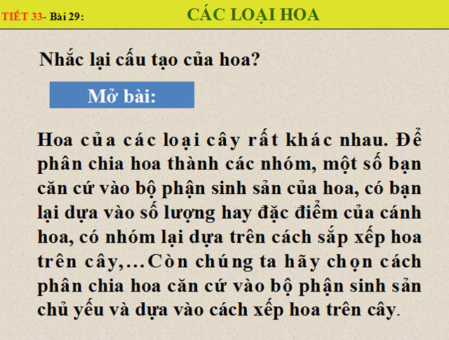Bài giảng Các loại hoa Bài giảng sinh học 6