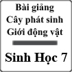 Bài giảng Cây phát sinh giới động vật Sinh học 7