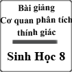 Bài giảng Cơ quan phân tích thính giác Sinh học 8