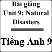 Bài giảng Tiếng Anh 9 unit 9 (Read)