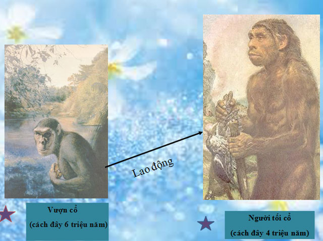 Bài giảng Sự xuất hiện loài người và bầy người nguyên thủy Bài giảng điện tử Lịch sử 10