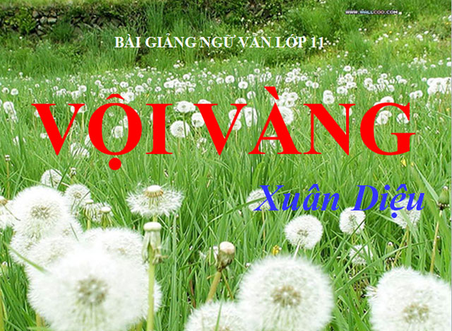 Vội vàng Ngữ văn 11