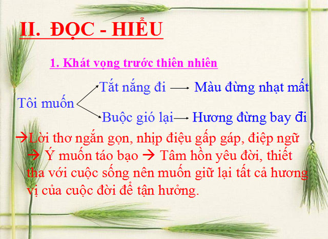 Bài giảng Ngữ văn 11