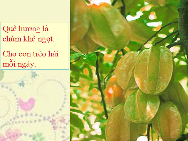  Qu&ecirc; hương Tế Hanh