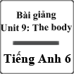 Bài giảng Tiếng Anh 6 unit 9 The body