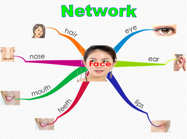 Tiếng Anh 6 unit 9 The body