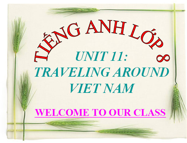  Tiếng Anh 8 unit 11