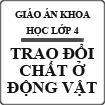 Giáo án Khoa học bài Trao đổi chất ở động vật