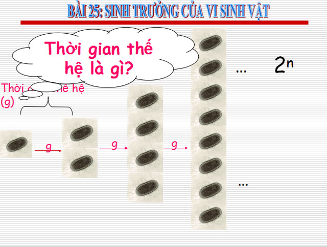 Bài giảng Sinh trưởng của vi sinh vật Sinh học 10 Bài giảng Sinh học 10