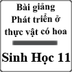 Bài giảng Phát triển ở thực vật có hoa Sinh học 11