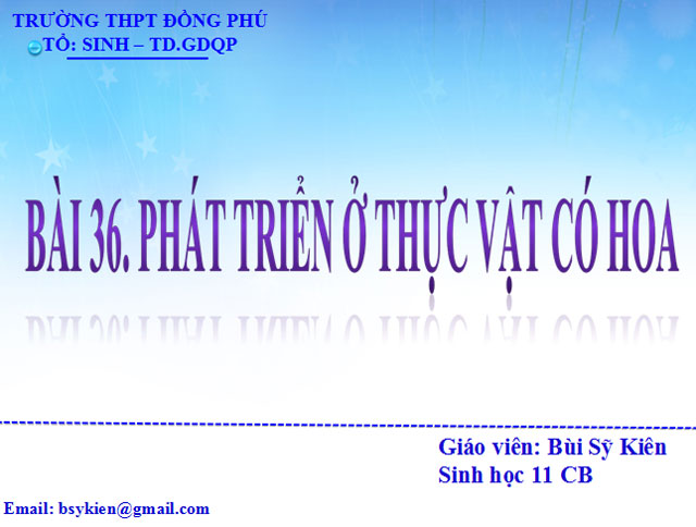 Ph&aacute;t triển ở thực vật c&oacute; hoa Sinh học 11