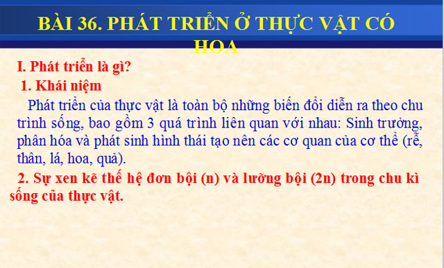 B&agrave;i giảng Sinh học 11