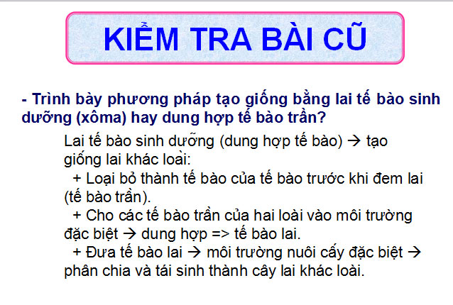 B&agrave;i giảng Sinh học 12