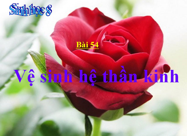 Vệ sinh hệ thần kinh Sinh học 8